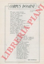 Sud africa fraccaroli usato  Italia