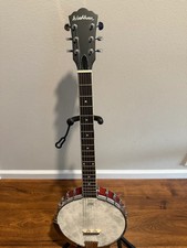 Used washburn americana for sale  Palm Harbor