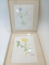 Vintage 1981 botanical for sale  RUGBY