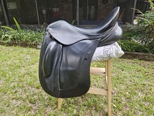 Schleese link dressage for sale  Keystone Heights
