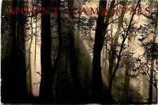 Mount tamalpais marin for sale  USA