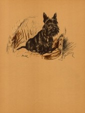 scottie print for sale scottie print for sale Harborton