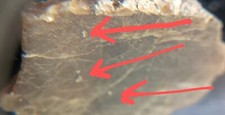 Meteorite unclassified slice for sale  Clearlake