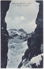 Cima del daino usato  Italia