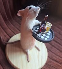 Mouse taxidermy tray for sale  STOCKTON-ON-TEES