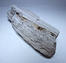 verkieseltes holz gebraucht kaufen verkieseltes holz gebraucht kaufen Schönberg