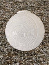 Sammler rosenthal vase gebraucht kaufen  Kempten (Allgäu)