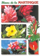 972 martinique frangipanier d'occasion  Expédié en Belgium