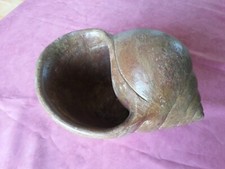 Gros coquillage escargot d'occasion  France