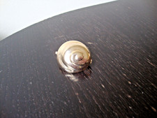 Vtg 1970s spiral for sale  San Francisco