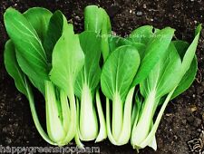 Vegetable seeds chinese for sale  DONCASTER