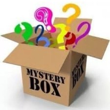 Surprise mystery box for sale  West Plains