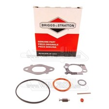 Riginal briggs stratton gebraucht kaufen  Grafenau