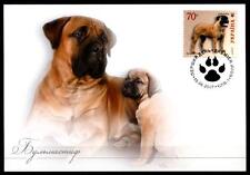 Hunde bullmastiff maximumkarte gebraucht kaufen  Düsseldorf