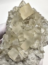 New find large for sale  Louisville