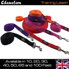 Dog training leash for sale  SUDBURY