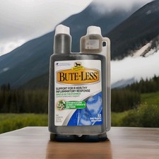 Bute less horse for sale  Jamaica