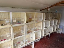 24x used cage for sale  KETTERING