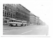 Altes riginal foto gebraucht kaufen  Dresden