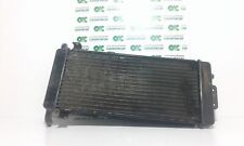 Radiatore acqua benelli usato Radiatore acqua benelli usato  Italia