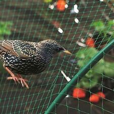 Filet protection oiseaux d'occasion  Tremblay-en-France