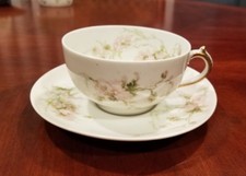 Antique haviland limoges for sale  Mount Prospect