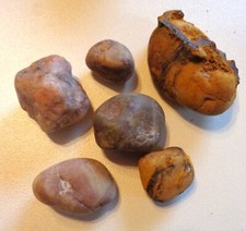 findlinge gebraucht kaufen findlinge gebraucht kaufen Deutschland