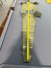Real american alligator for sale  Palm Harbor