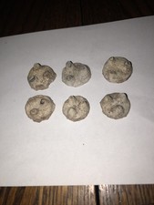 Original clay bennington for sale  Joplin