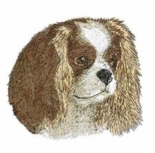 Custom cavalier king d'occasion  Expédié en Belgium