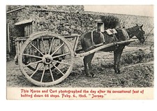 Jersey. horse cart for sale  YORK