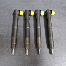 Set delphi injektor gebraucht kaufen  Nortmoor