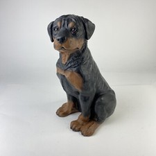 Rottweiler dog puppy for sale  North Bend