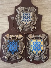 Insignes pompiers ardèche d'occasion  Saint-Père-en-Retz