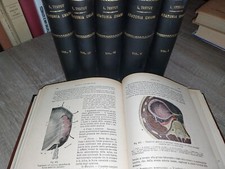 Testut anatomia umana usato  Catania