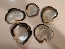 Coquille saint jacques d'occasion  Poussan