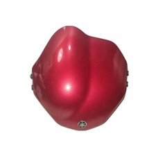 Cupolino rosso per usato  Torino