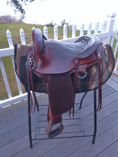 Sqh barrs american for sale  Kent