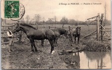 Nogent rotrou elevage d'occasion  France