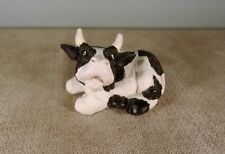 Miniature 1.5 holstein for sale  Tucson