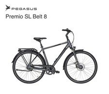 Pegasus premio belt gebraucht kaufen  Nordenham