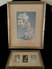 Seashell prints custom for sale  Atlanta