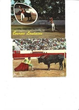 Carte postale corrida d'occasion  Pons