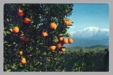 1953 chrome postcard for sale  La Habra