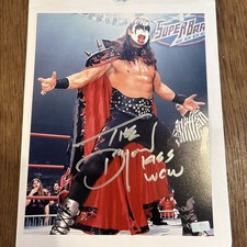 Wcw kiss demon for sale  Jacksonville