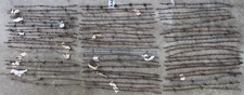 barb wire collection for sale barb wire collection for sale Mountain View