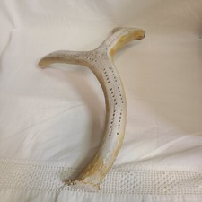 Deer antler cribbage for sale  Palm Coast