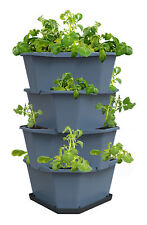 Gusta garden 100341 gebraucht kaufen  Keltern