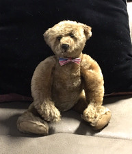 antique steiff for sale antique steiff for sale Longmont
