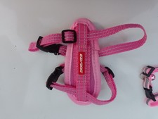 Xxs pink dog for sale  FAREHAM